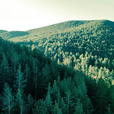 Hotel Balneo & Aura Welingrad