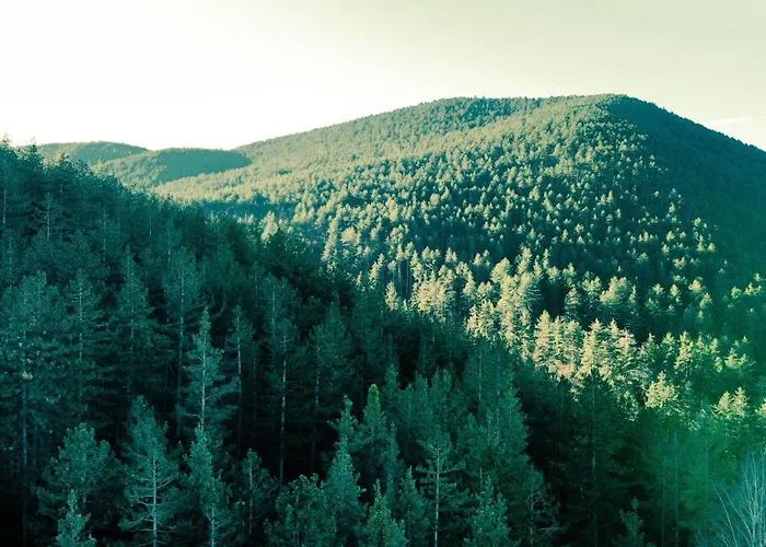 Хотел балнео и аура Велинград